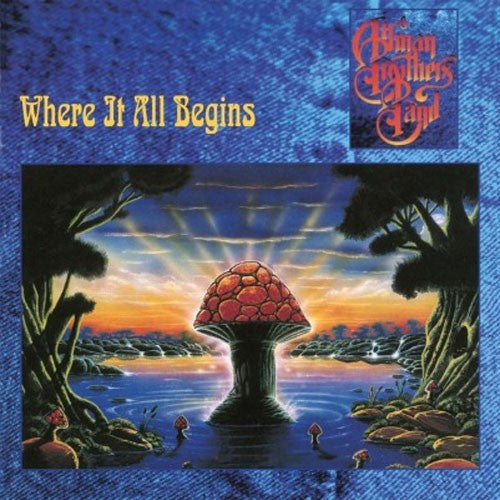 The Allman Brothers Band - Where It All Begins Vinyl Record