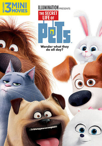 Secret Life Of Pets - Secret Life Of Pets - DVD