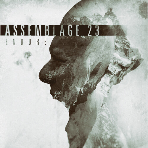 Assemblage 23 - Endure Vinyl Record