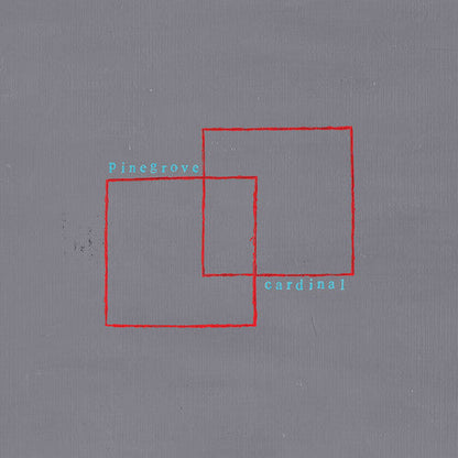 Pinegrove - Cardinal Vinyl Record