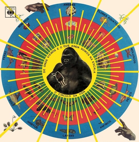 Santos,pedro - Krishnanda - Vinyl Record