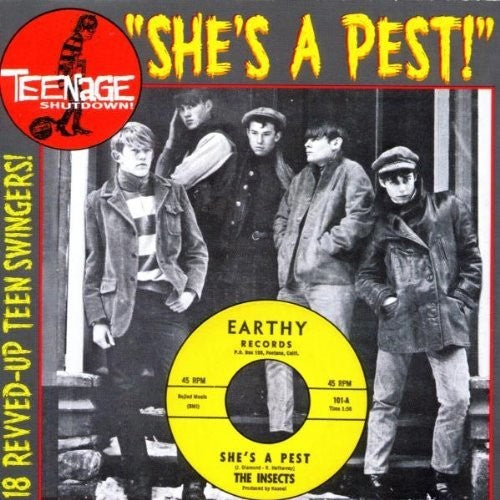 Teenage Shutdown 15: She's A Pest / Various - Teenage Shutdown 15: She's A Pest / Various - Music CD