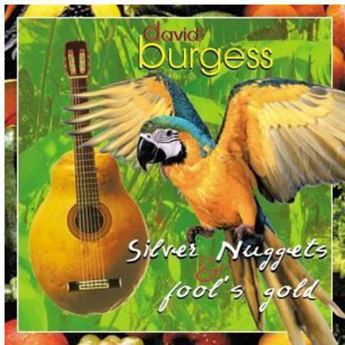 the album cover for DAVID BURGESS - Silver Nuggets & Fool's Gold