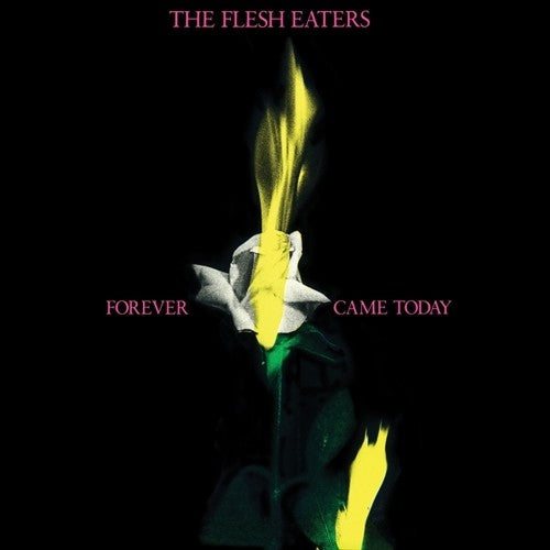 Flesh Eaters - Forever Came Today - Music CD