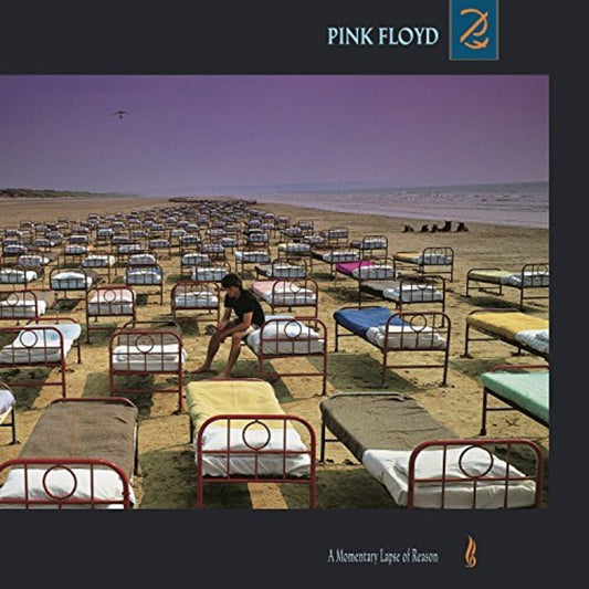 Pink Floyd - A Momentary Lapse of Reason [Vinyl] Vinyl Record