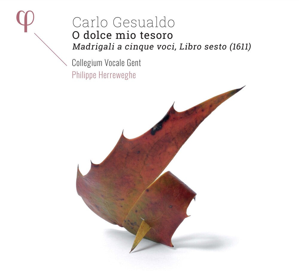 the album cover for Gesualdo / Philippe Herreweghe / Collegium Vocale - Carlo Gesualdo: O Dolce Mio Tesoro