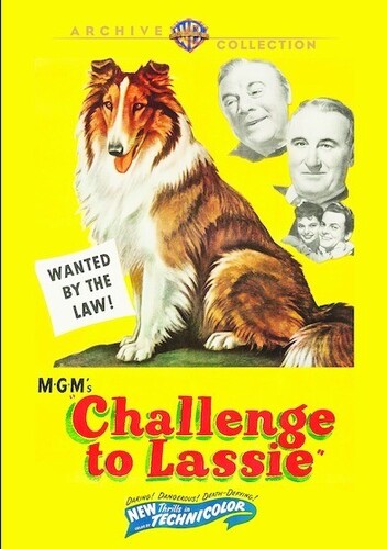 Challenge To Lassie (1949) - Challenge To Lassie (1949) - DVD