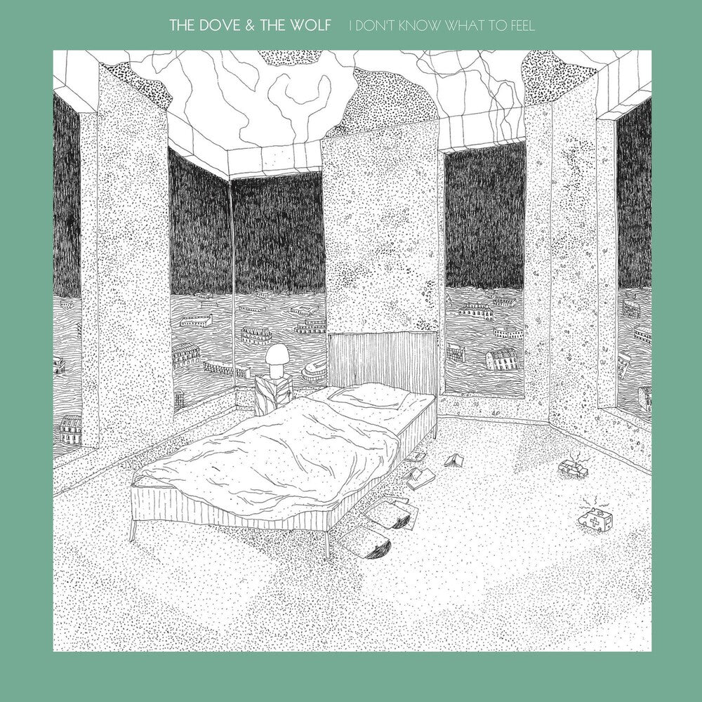I Don't Know What To Feel [Vinyl] Vinyl Record