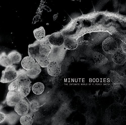 Tindersticks - Minute Bodies: Intimate World Of F. Percy Smith - Music CD