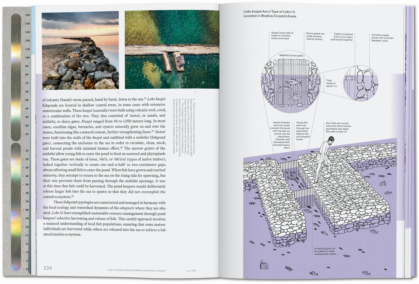 Julia Watson. Lo—TEK. Water. A Field Guide for TEKnology (English) Book