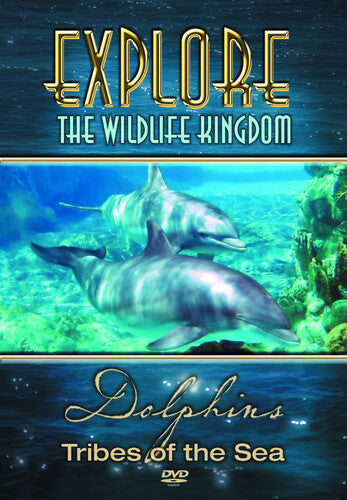 Explore The Wildlife Kingdom - Dolphins Tribes Of The Sea - DVD