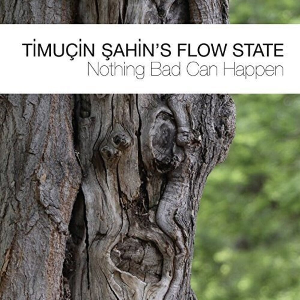 the album cover for Timuçin ?ahin's Flow State - Nothing Bad Can Happen (Various Artists)