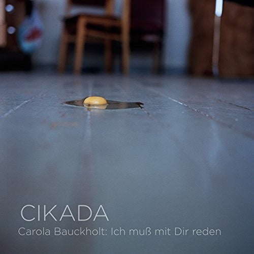the album cover for Bauckholt / Cikada - Need to Talk to Friends