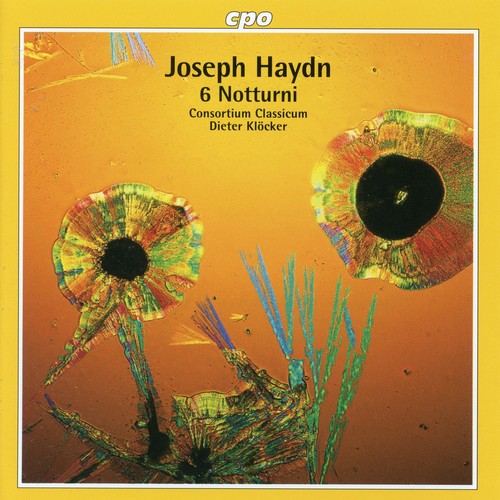 Haydn / Klocker / Consortium Classicum - 6 Notturni - Music CD