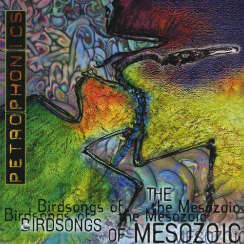 the album cover for Birdsongs Of Mesozoic - Petrophonics