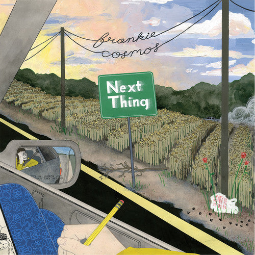 Next Thing [Vinyl] Vinyl Record