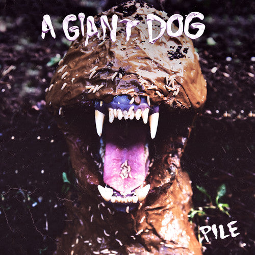 Pile [Vinyl] Vinyl Record