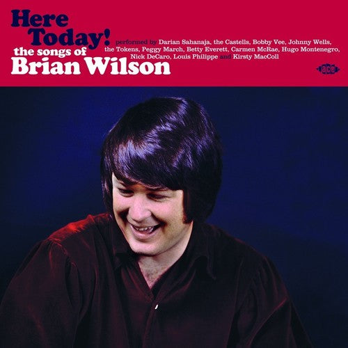 Here Today! Songs Of Brian Wilson / Various Uk - Here Today! Songs Of Brian Wilson / Various [LP] Vinyl Record
