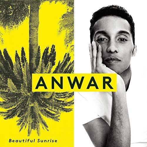 the album cover for Anwar - Beautiful Sunrise