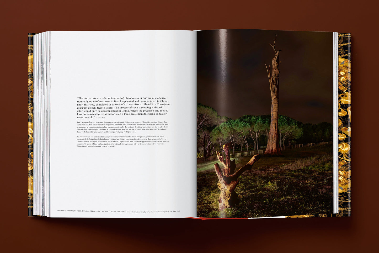 Ai Weiwei. Updated Edition (German, French, English) Book