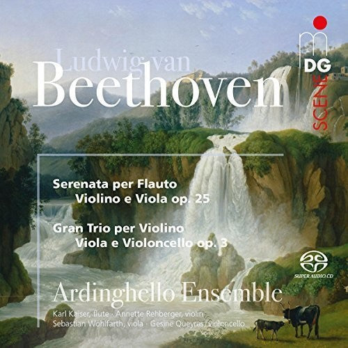 Ardinghello Ensemble - Beethoven: Serenade And String Trio - Music CD