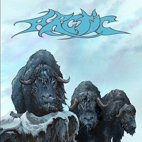 Arctic - Arctic - Vinyl Record