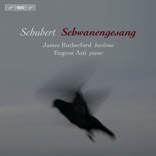 Schubert: Schwanengesang Music CD