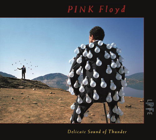 Pink Floyd - Delicate Sound Of Thunder (live) - Music CD