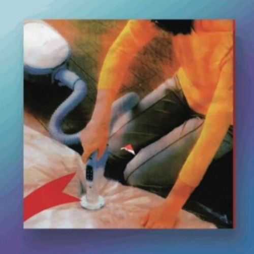 Why Do You Look Like Your Dog? Music CD
