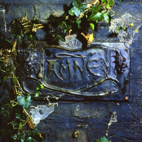 The Damned - Black Album Vinyl Record