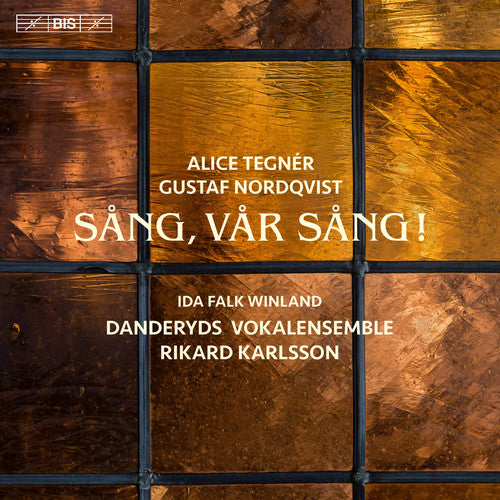 the album cover for G Nordqvist / Karlsson,Rikard / Olund,Anders - Tegner & Nordqvist: Song Our Song