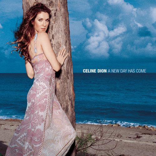 the album cover for Celine Dion - A New Day Has Come