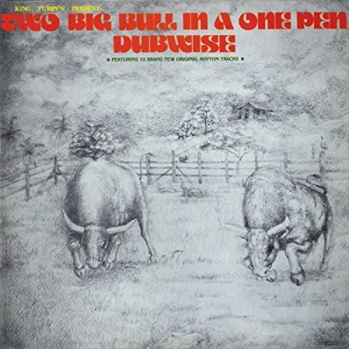 King Tubby's - Two Big Bull In A One Pen - Music CD