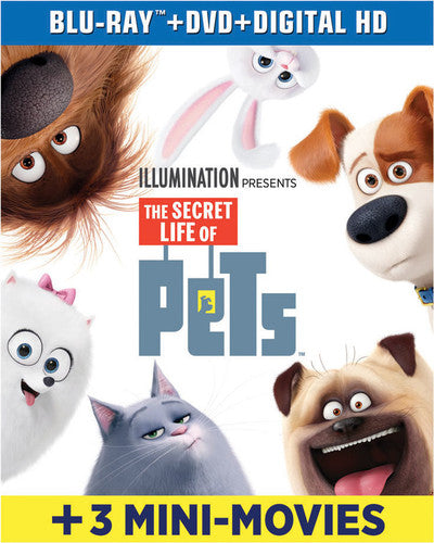 Secret Life Of Pets - Secret Life Of Pets - Blu-ray