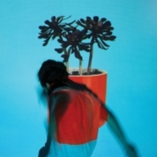 Local Natives - Sunlit Youth [LP] Vinyl Record