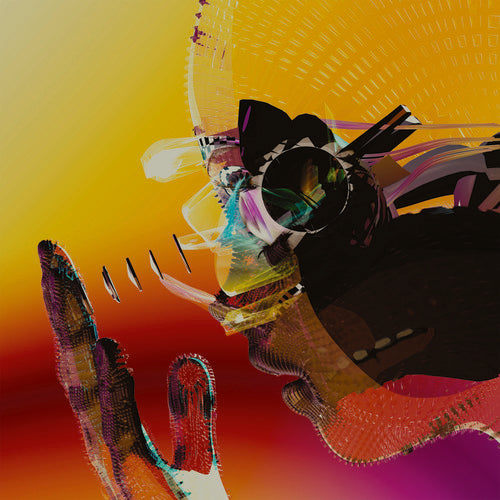 Motion Graphics - Motion Graphics - Vinyl Record