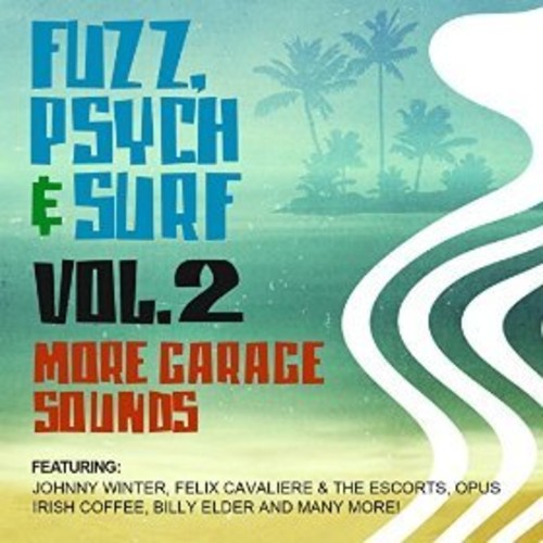 the album cover for Fuzz Psych & Surf 2 More Garage Sounds / Var - Fuzz, Psych & Surf, Vol. 2 - More Garage Sounds