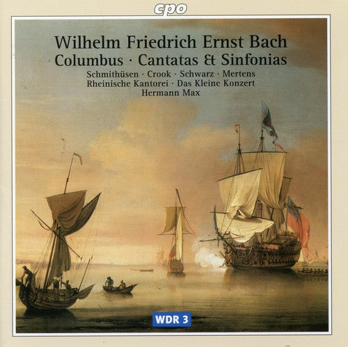 Bach,w.f.e. / Schmitthusen / Crook / Schwarz / Max - Cantatas & Sinfonias - Music CD