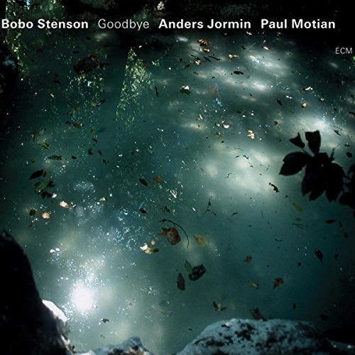 Stenson,bobo - Goodbye - Music CD