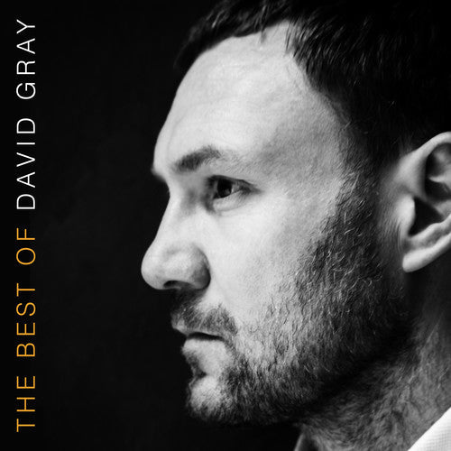 David Gray - The Best Of David Gray [Vinyl] Vinyl Record