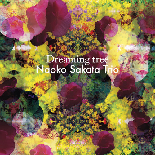 the album cover for Various / Various - Dreaming Tree