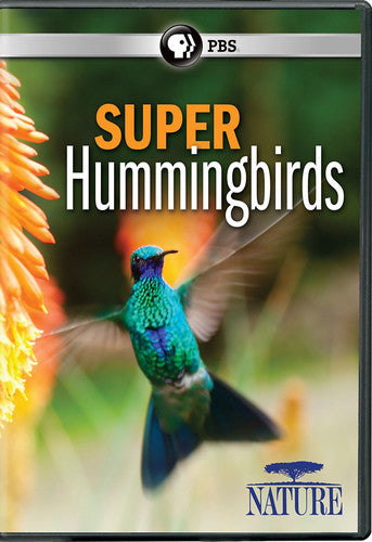 Nature: Super Hummingbirds - Nature: Super Hummingbirds - DVD