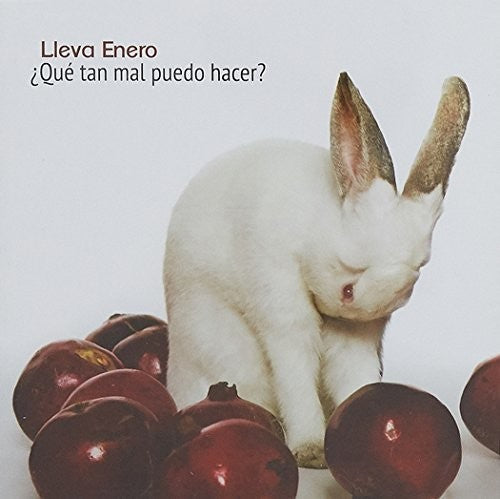 the album cover for Lleva Enero - Que Tan Mal Puedo Hacer