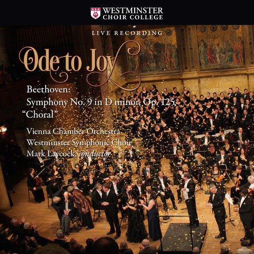 Beethoven / Vienna Chamber Orchestra - Ode To Joy / Beethoven Symphony No 9 In - Music CD