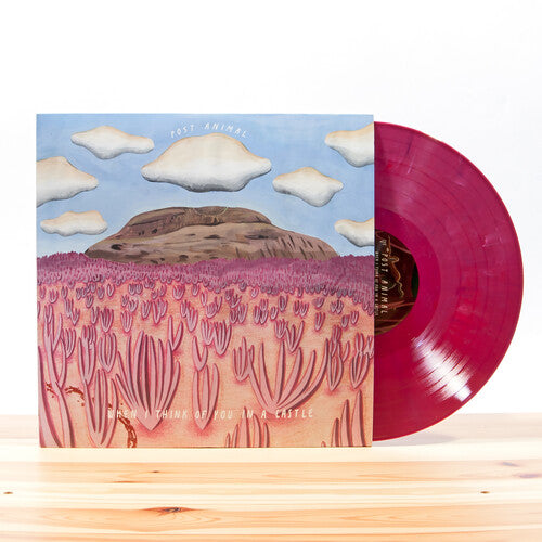 Post Animal - When I Think Of You In A Castle ( Vinyl Record