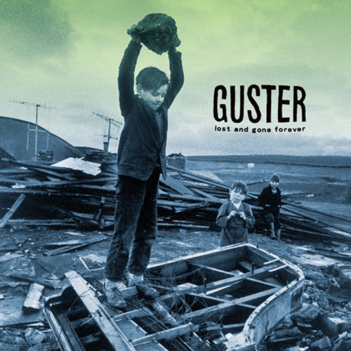 Lost And Gone Forever [Vinyl] Vinyl Record