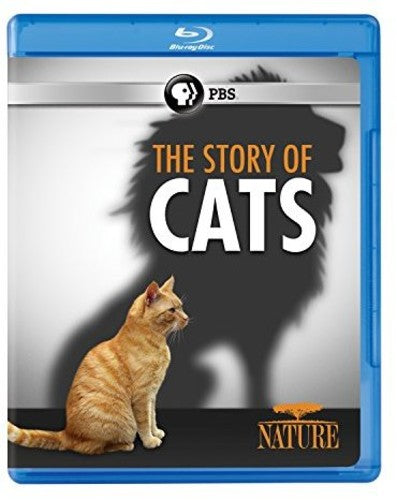 Nature: The Story Of Cats - Nature: The Story Of Cats - Blu-ray