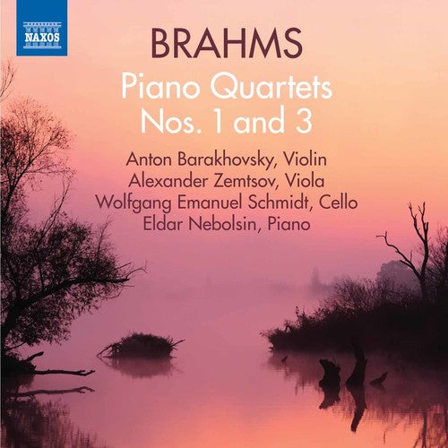 Brahms / Barakhovsky / Nebolsin - Johannes Brahms: Piano Quartets 1 & 3 - Music CD