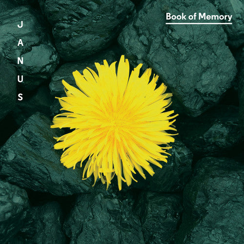 the album cover for Januš - Book of Memory