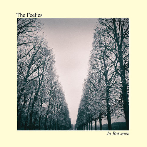 Feelies - In Between - Music CD
